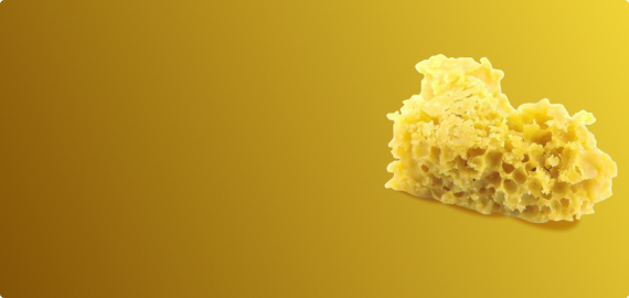 Cannabis Concentrates - wax, shatter, sugar