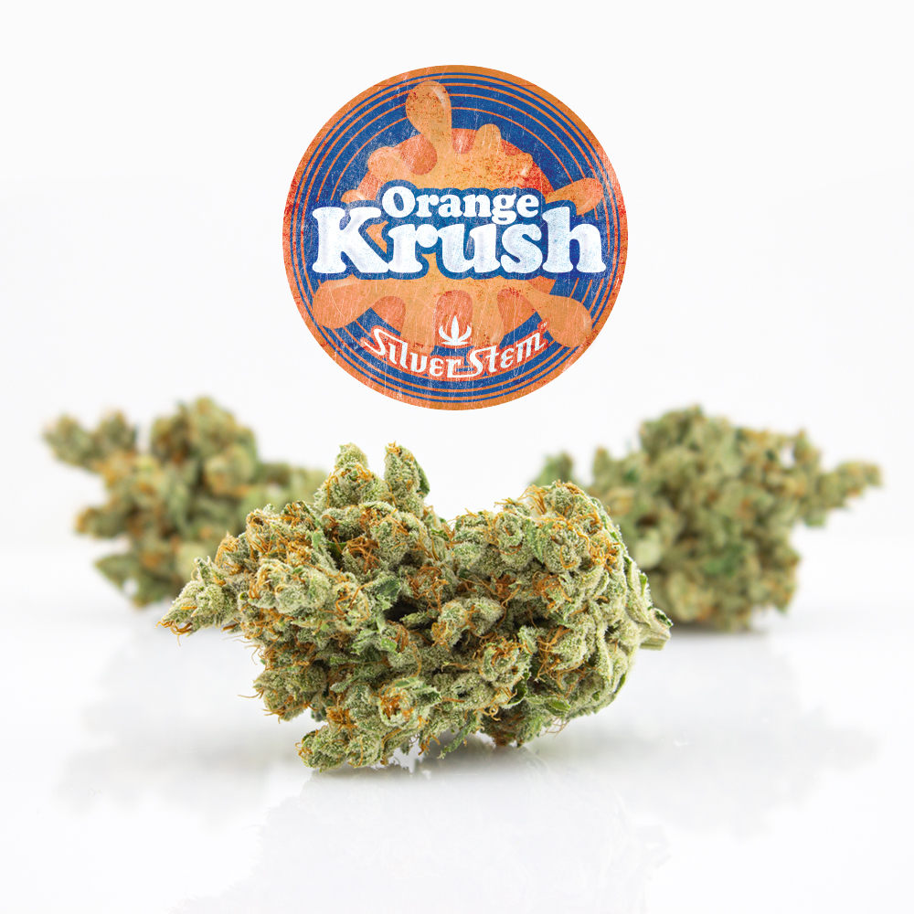 Introducting Silver Stem's Orange Krush