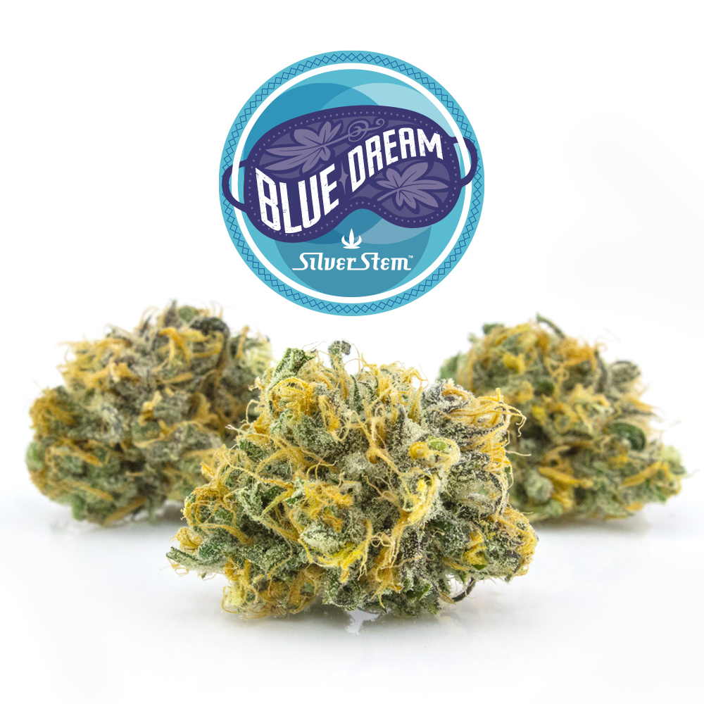 Blue Dream cannabis strain