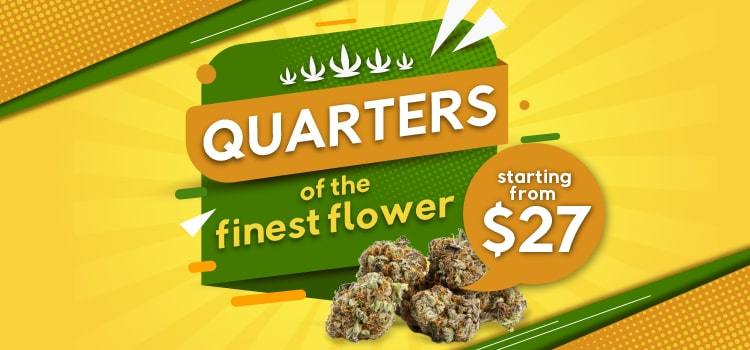 Quarter Special