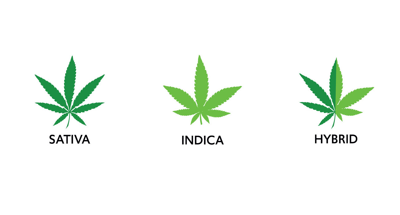 Is Sativa or indica better for first timers?