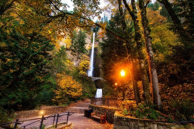 Fall foliage in Oregon