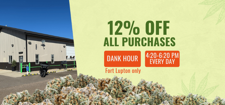 12% OFF All Purchases