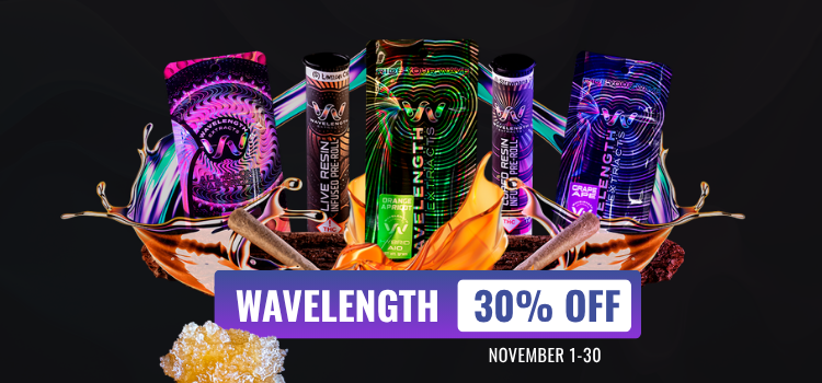 Wavelength 30% OFF November