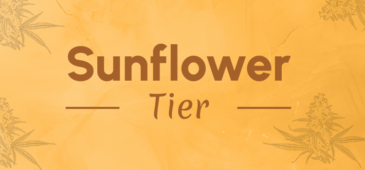 Sunflower Tier