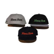 Silver Stem | Grey Snapback