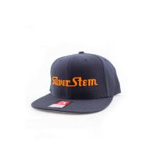 Silver Stem | Blue/Orange Snapback