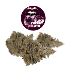 Black Cherry Gelato | Hybrid