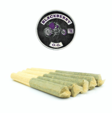 Blackberry OG 1/2g Preroll 5 Pack | Indica-Hybrid