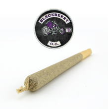 Blackberry OG Preroll | Indica-Hybrid
