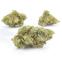 Blue Cheese | Indica-Hybrid