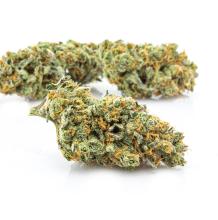 Cherrygasm | Sativa-Hybrid