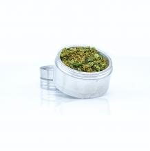Chocolope Grinds | Sativa