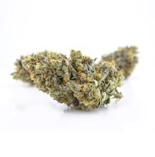 Colin OG | Indica