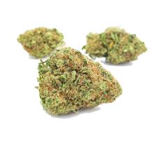 Gold Leaf | Indica-Hybrid