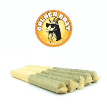 Golden Goat 1/2g Preroll 5 Pack | Sativa
