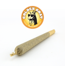 Golden Goat Preroll | Sativa