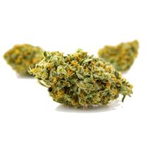 Green Crack cannabis strain