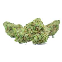 Hells Angels OG | Indica-Hybrid