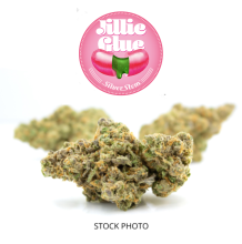 Jilly Glue | Hybrid