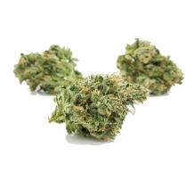 Kosher Kush | Indica