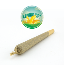 Lemon Cap Preroll | Sativa
