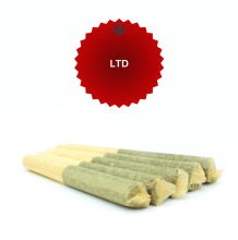 LTD 1/2g Preroll 5 Pack | Hybrid