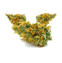 Matanuska Thunder Fuck