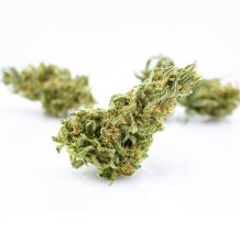 Medijuana cannabis strain