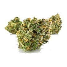 9 BEST STRAINS FOR NEWBIE SMOKERS ...
