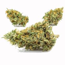 Pineapple Thai | Sativa