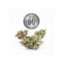 Silver OG | Indica