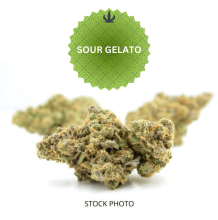 Sour Gelato | Hybrid