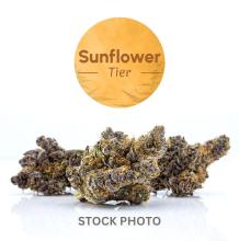 Sunflower Blue Dream | Hybrid