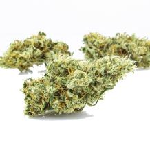 Tangie cannabis pot weed strain