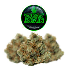Yoda's Brain | Sativa-Hybrid