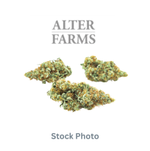 Alter Farms | Purple Plum Eater Indica-Hybrid