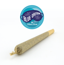 Blue Dream Preroll | Sativa-Hybrid