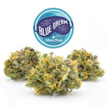 Blue Dream | Sativa-Hybrid