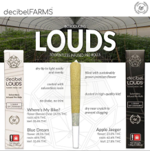 Chem 91 Infused Pre-Roll, 1.38g