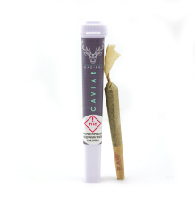 Dadirri Caviar Cone | Indica 1g Rec