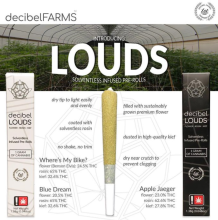 Decibel Loud, Pandora's Box Infused Pre-Roll, 1.38g