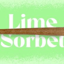 Doinks Infused Blunt | Lime Sorbet 1g Rec