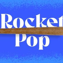 Doinks Infused Blunt | Rocket Pop 1g Rec