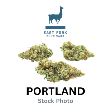 East Fork Cultivars | Pineapple Jager Balance Pre-roll Pack 3.5g