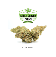 Green Clover | Duct Tape Indica Hybrid