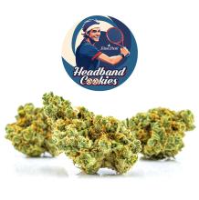Headband Cookies | Hybrid