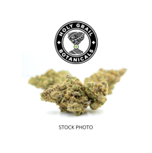 Holy Grail | Magic Melon Hybrid