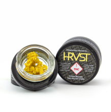 HRVST Wax | Lemon Fizz 1g Med