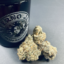 INFERNO JANE Quarter | Ice Cream Cake 7g Rec